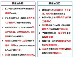 上海賽星軟件外包服務的作用與優勢分析